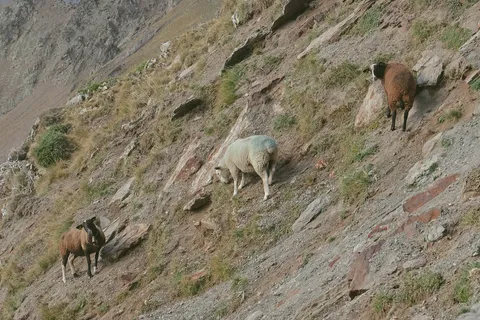 Échappées en montagne — photographie 41