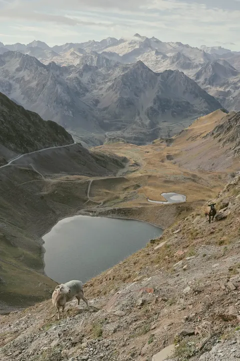 Échappées en montagne — photographie 42