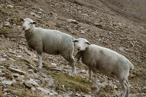 Échappées en montagne — photographie 53
