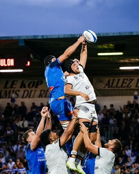 Rugby — Castres / Toulon — photographie 17